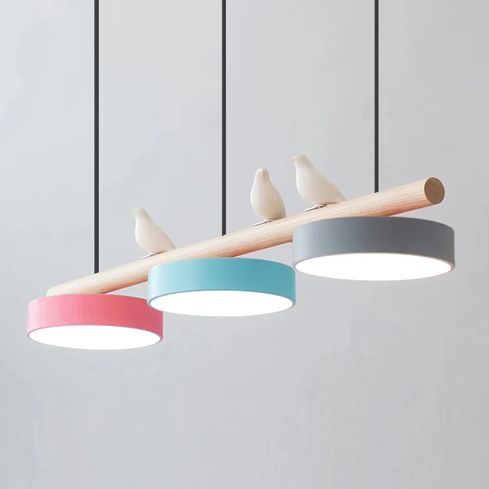 Cliff Suspension Oiseau Cliff