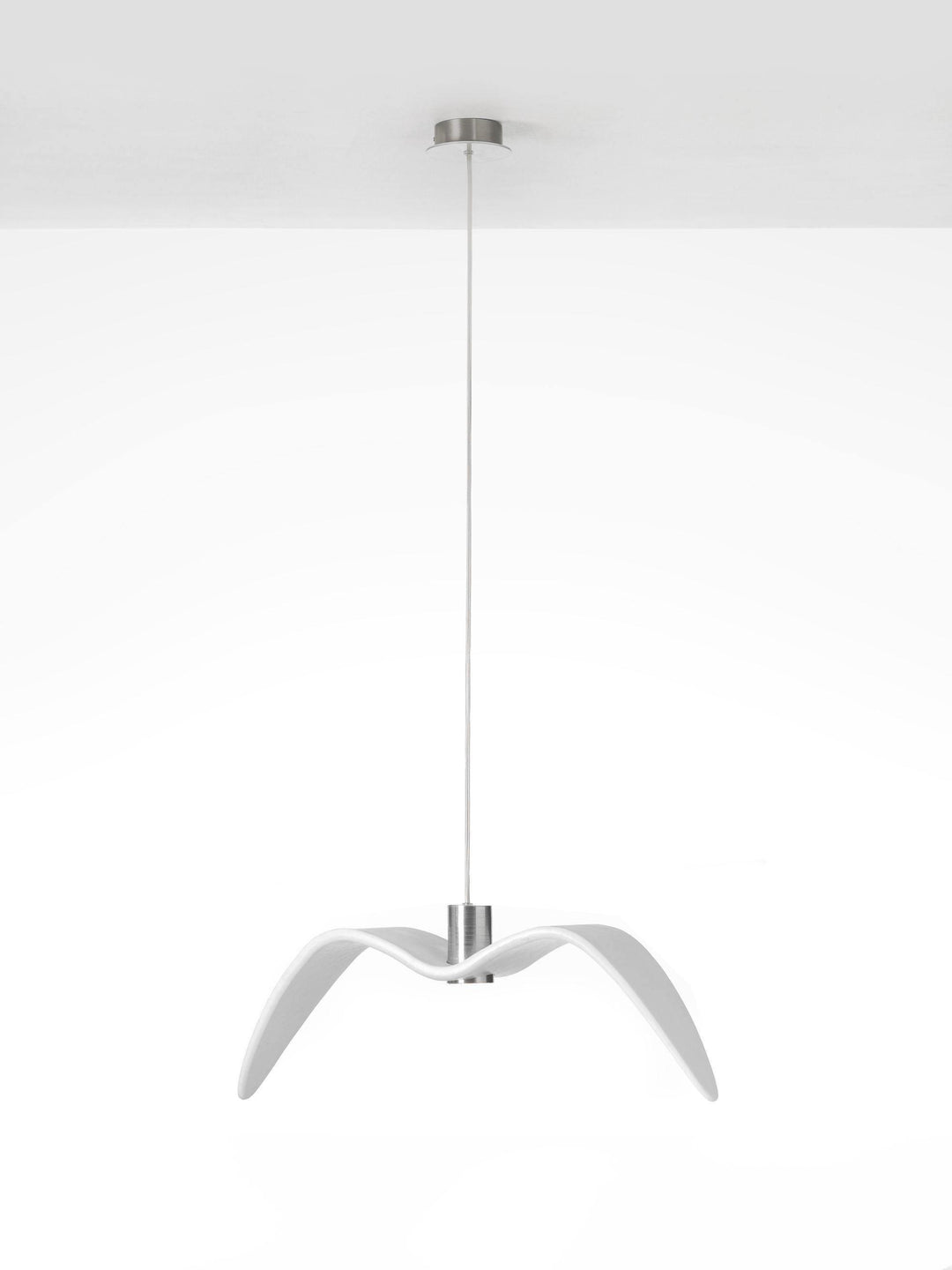 Lustra Suspension Lampe Ailes d&