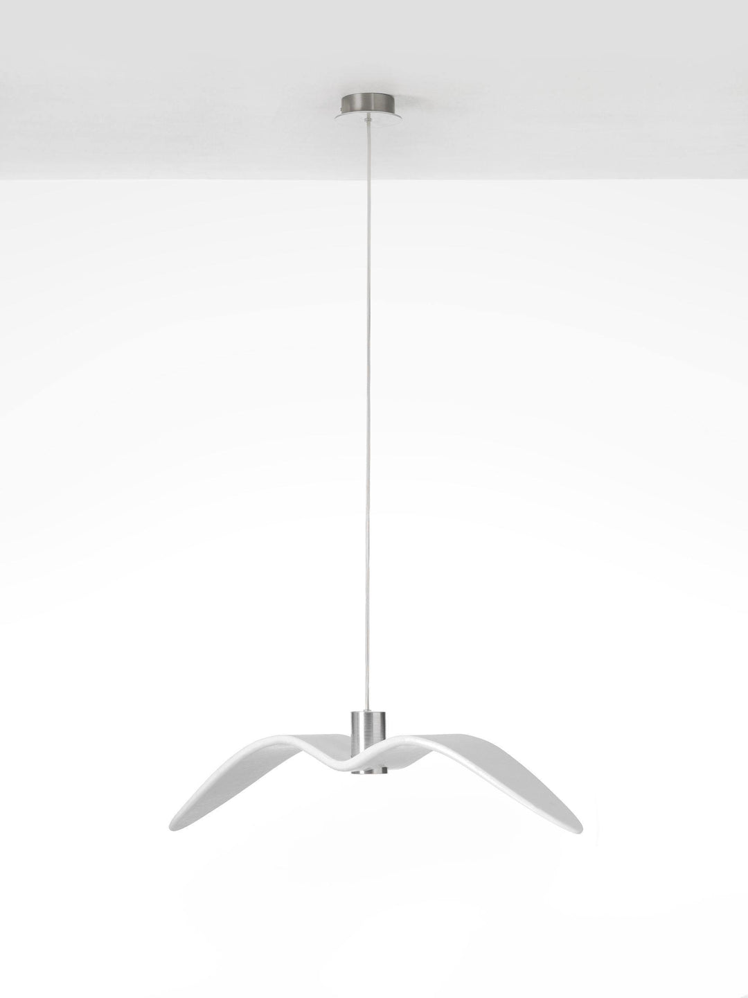 Lustra Suspension Lampe Ailes d&