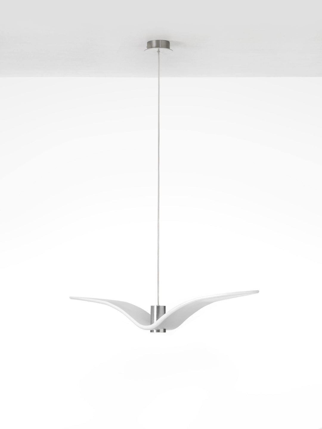 Lustra Suspension Lampe Ailes d&