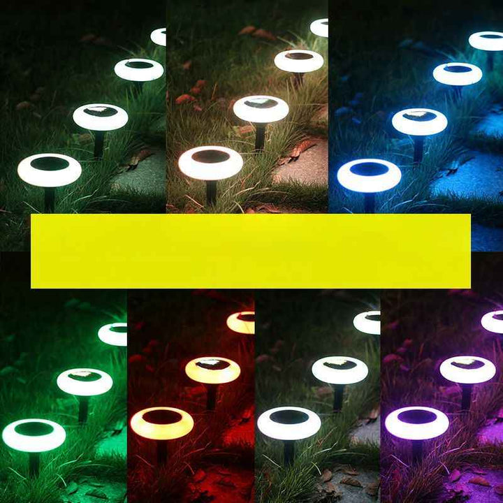Ray Acrylique LED V13
