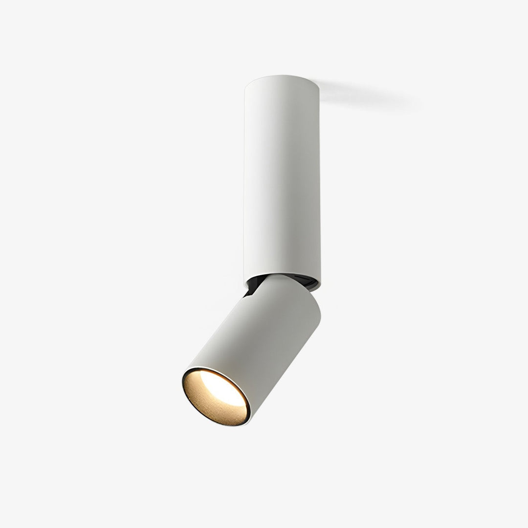 Elvynira Plafonnier à éclairage de surface réglable - Neutralighting