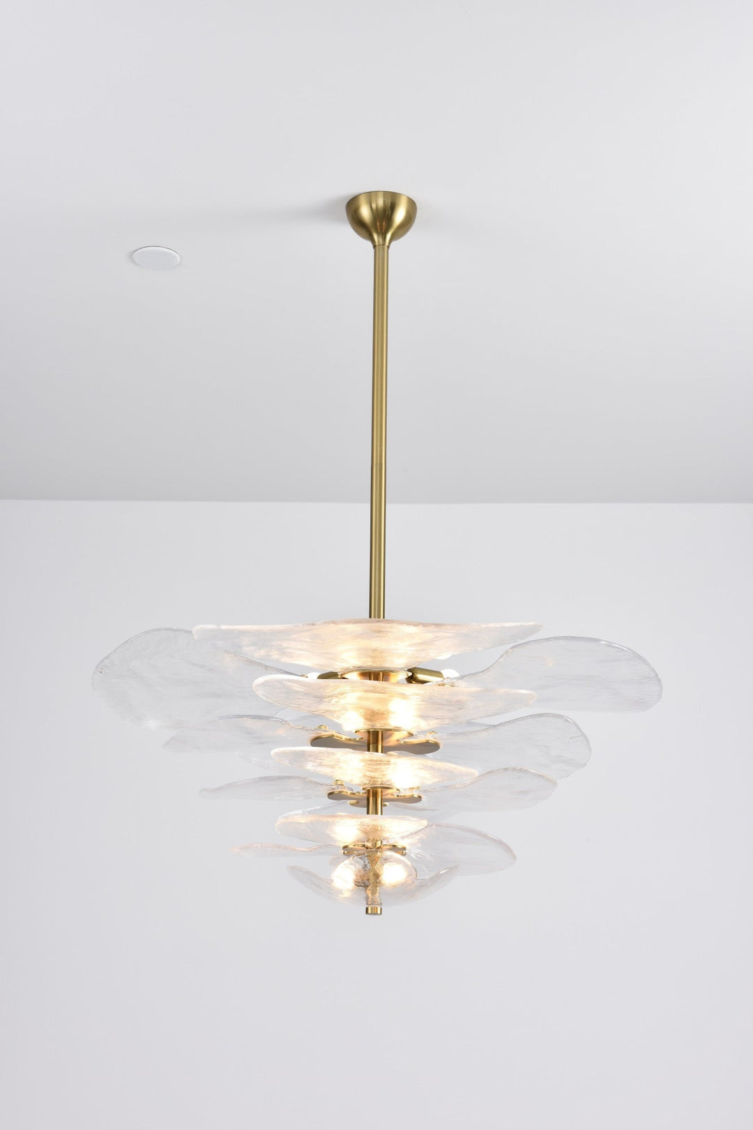 Aurora Chandelier Pétale en Verre Murano Doré Luxe - Neutralighting