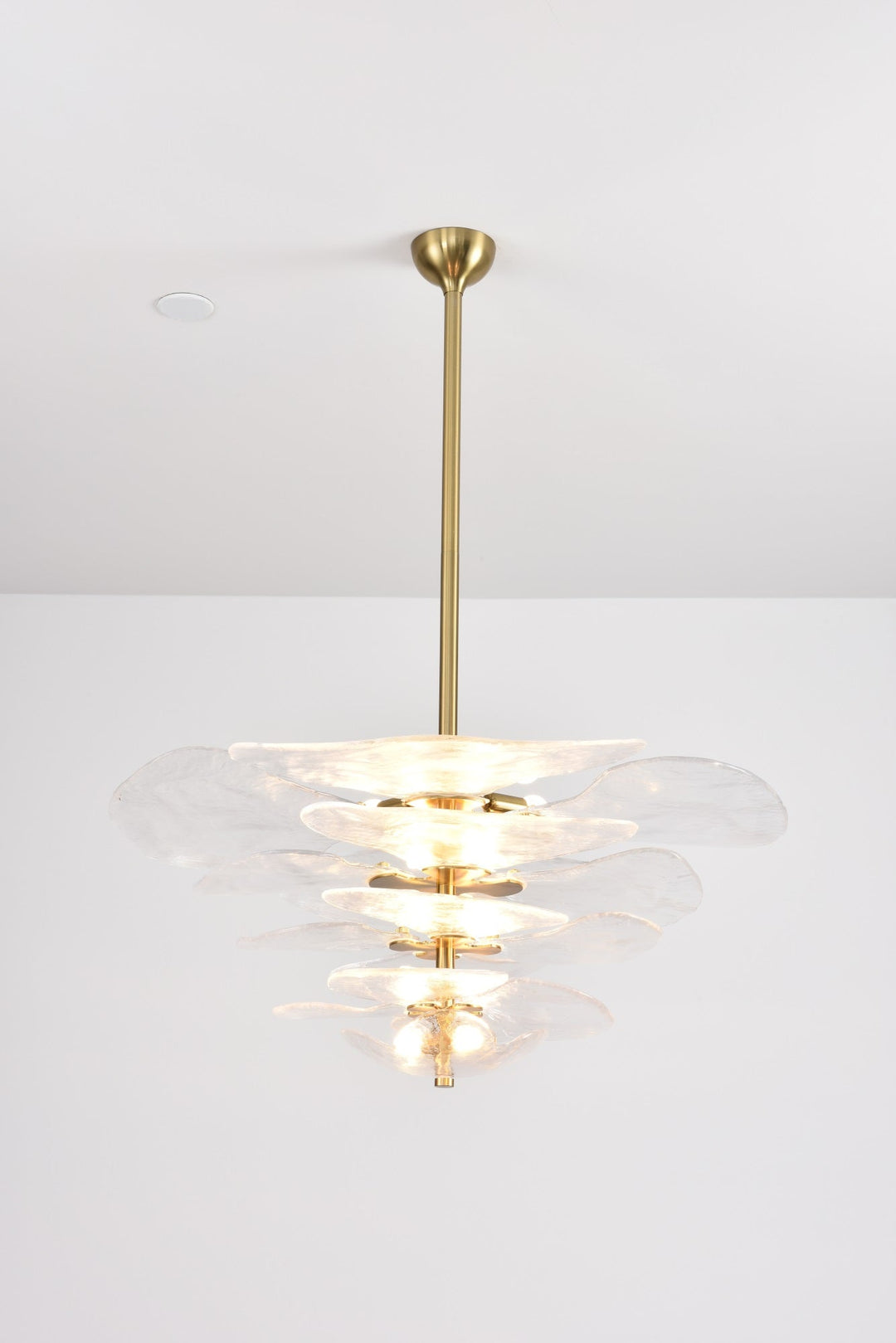 Aurora Chandelier Pétale en Verre Murano Doré Luxe - Neutralighting