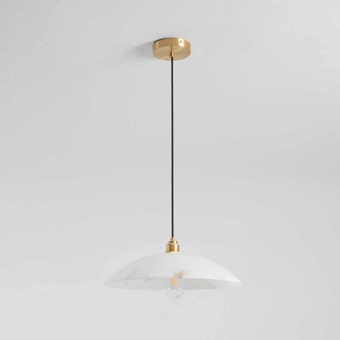 Ljomuvyd Suspension Métal Dôme Créativité Salon - Neutralighting