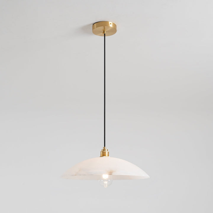Ljomuvyd Suspension Métal Dôme Créativité Salon - Neutralighting