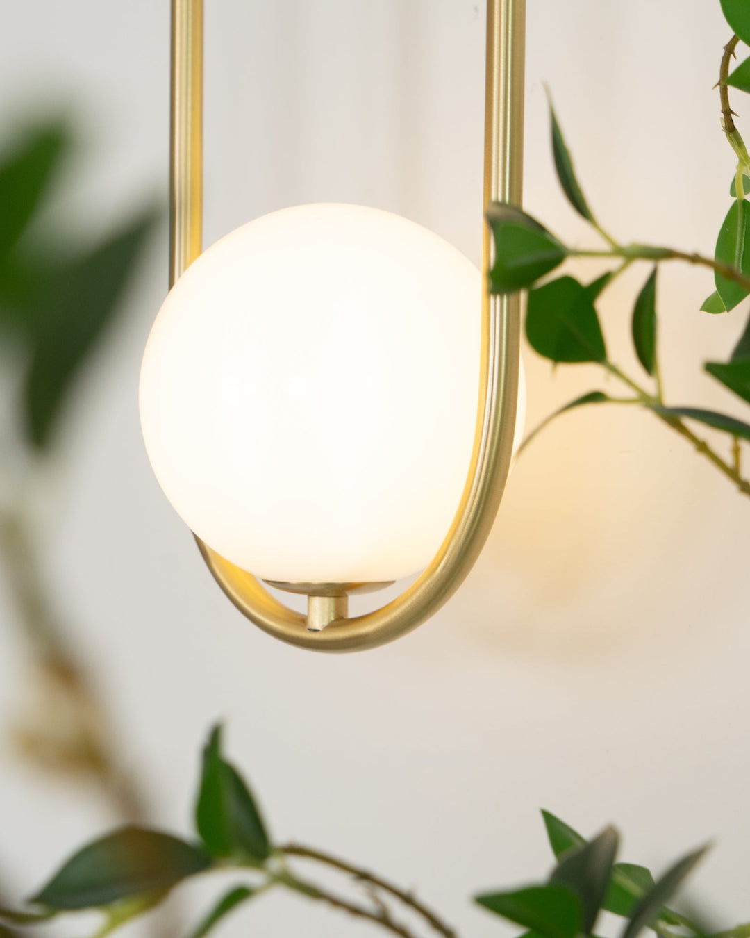 Virelli Applique Murale Cadre en Laiton en Forme de Boucle et Globe en Verre pour Art - Neutralighting
