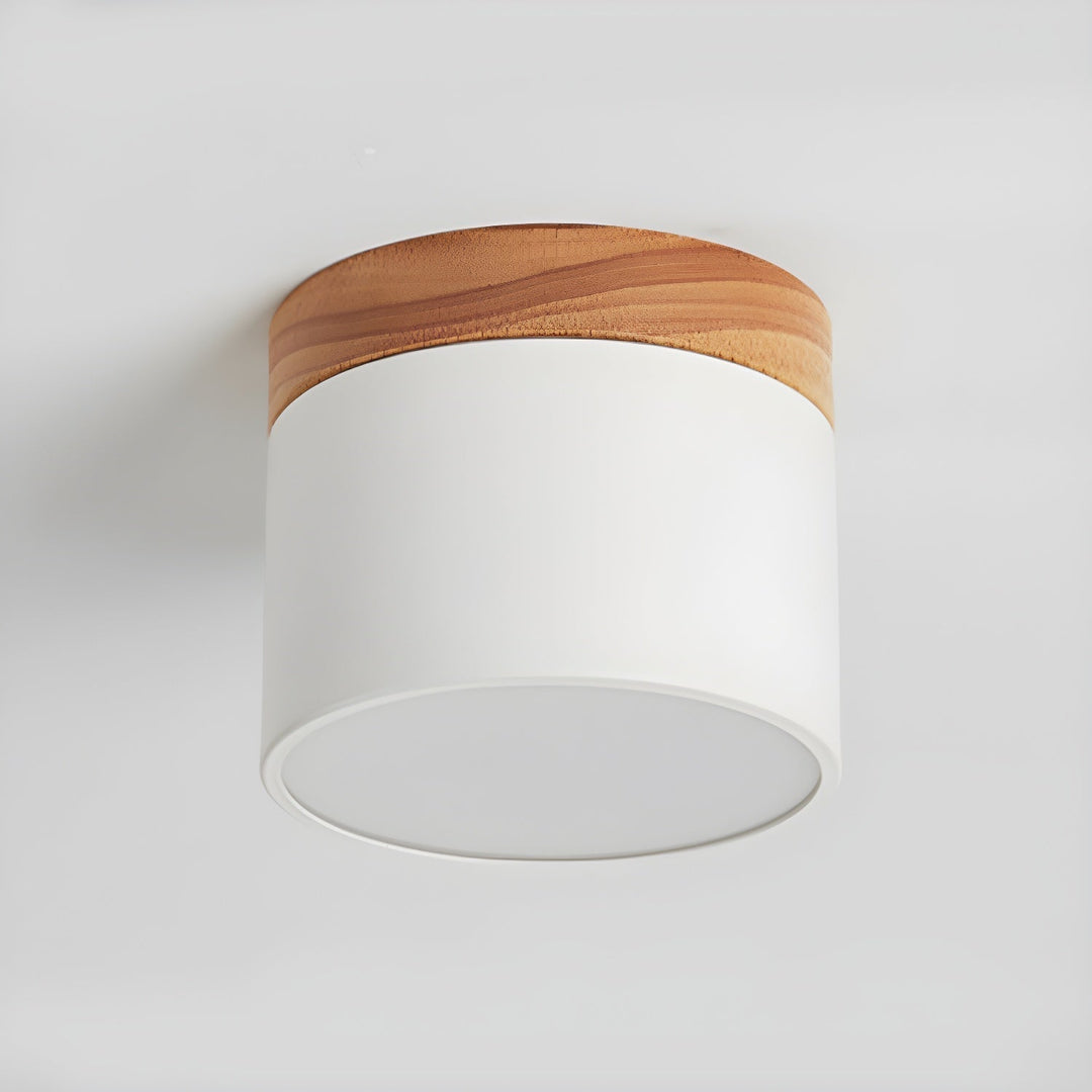 Caveleth Downlight de Surface en Bois Minimaliste Moderne - Neutralighting