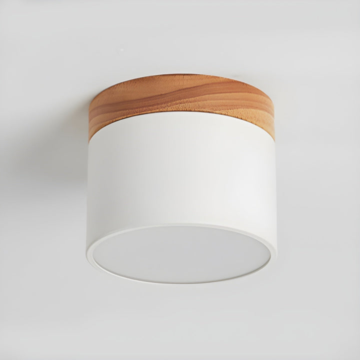 Caveleth Downlight de Surface en Bois Minimaliste Moderne - Neutralighting