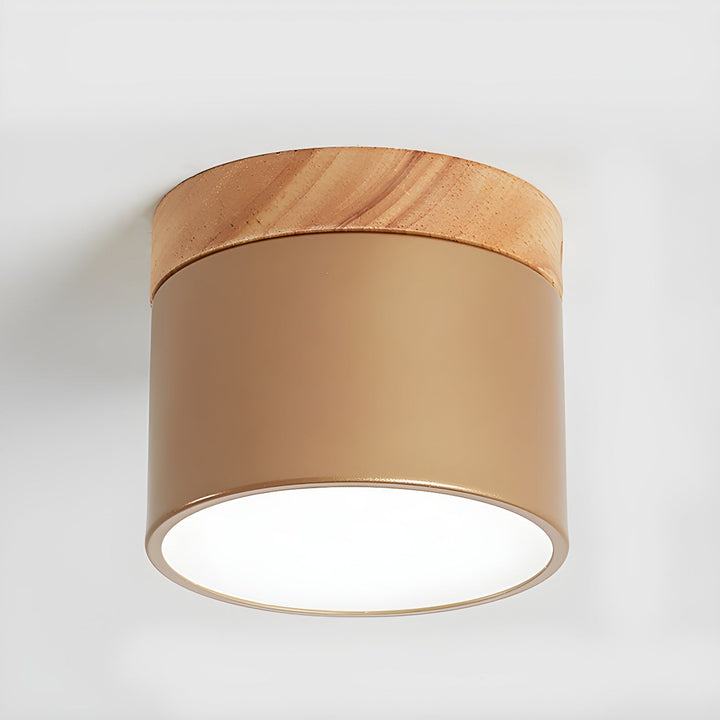 Caveleth Downlight de Surface en Bois Minimaliste Moderne - Neutralighting
