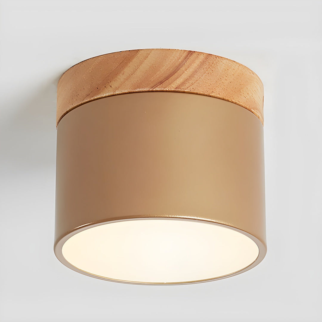 Caveleth Downlight de Surface en Bois Minimaliste Moderne - Neutralighting