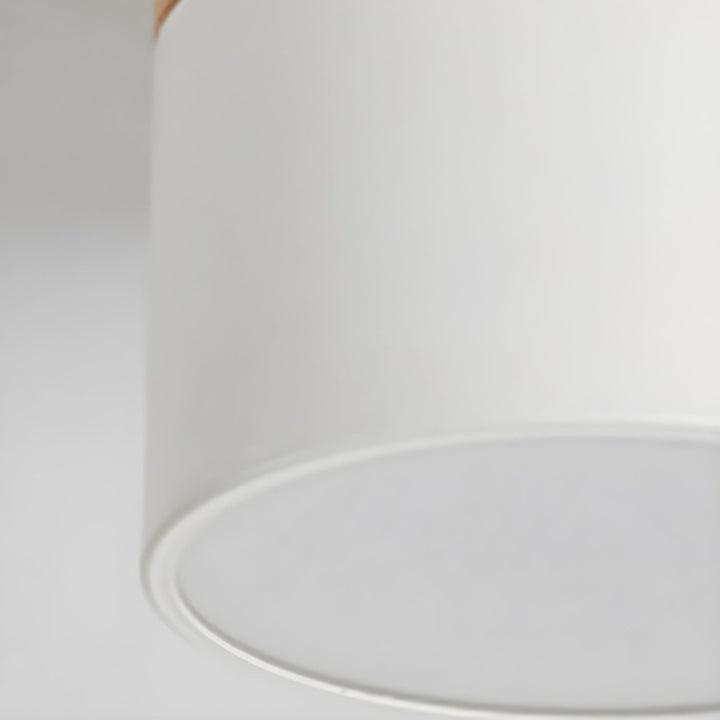 Caveleth Downlight de Surface en Bois Minimaliste Moderne - Neutralighting