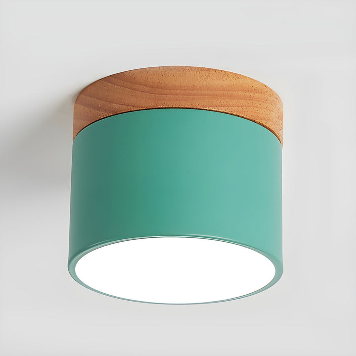 Caveleth Downlight de Surface en Bois Minimaliste Moderne - Neutralighting