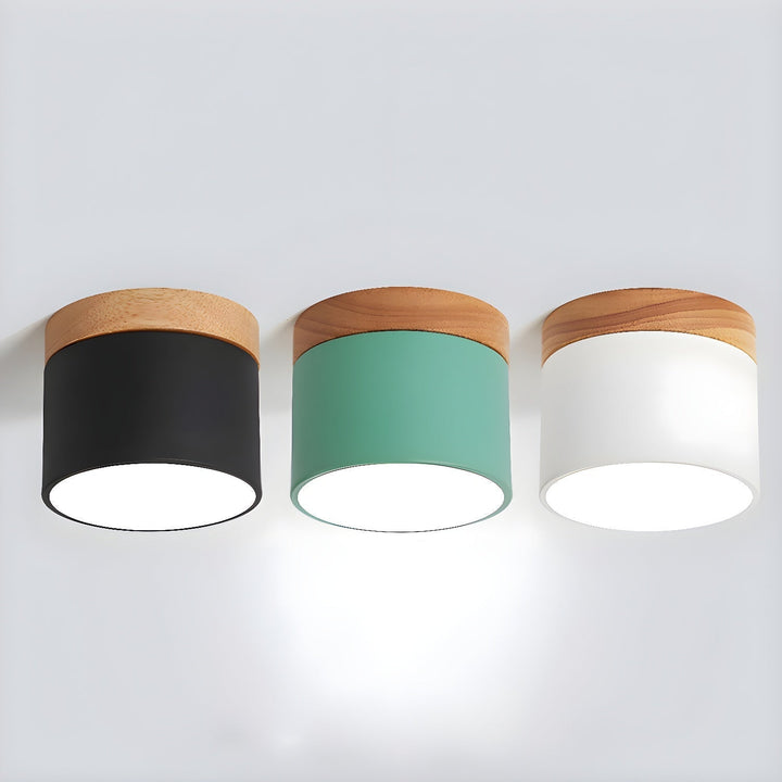Caveleth Downlight de Surface en Bois Minimaliste Moderne - Neutralighting