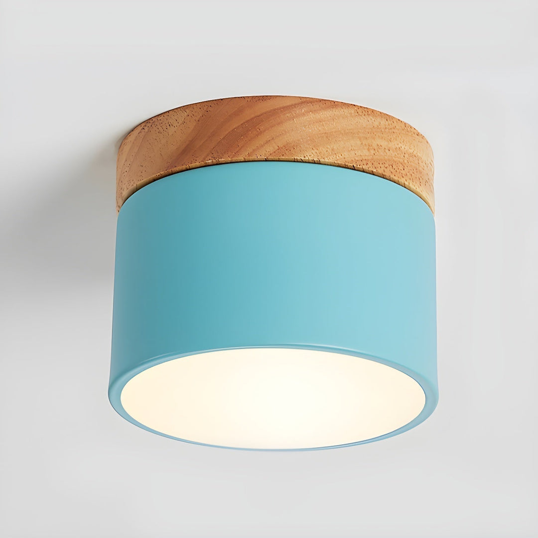Caveleth Downlight de Surface en Bois Minimaliste Moderne - Neutralighting
