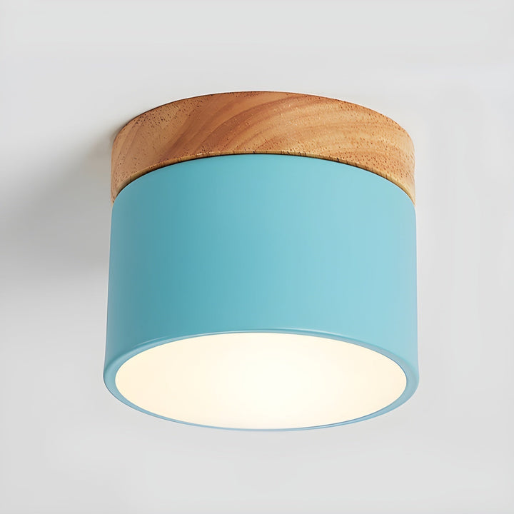 Caveleth Downlight de Surface en Bois Minimaliste Moderne - Neutralighting