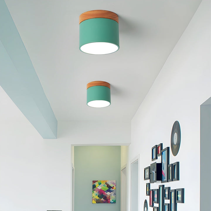 Caveleth Downlight de Surface en Bois Minimaliste Moderne - Neutralighting