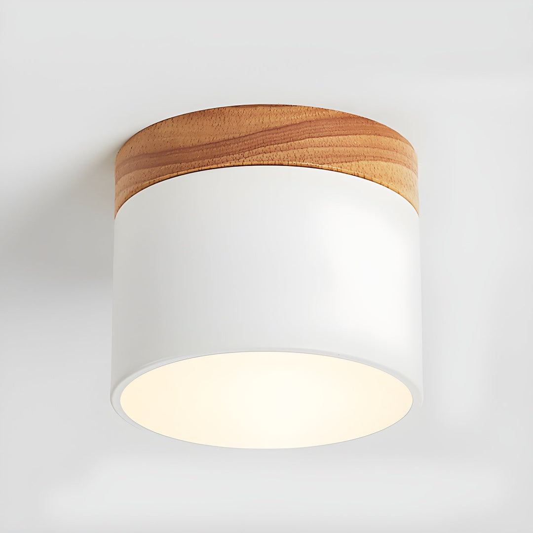 Caveleth Downlight de Surface en Bois Minimaliste Moderne - Neutralighting