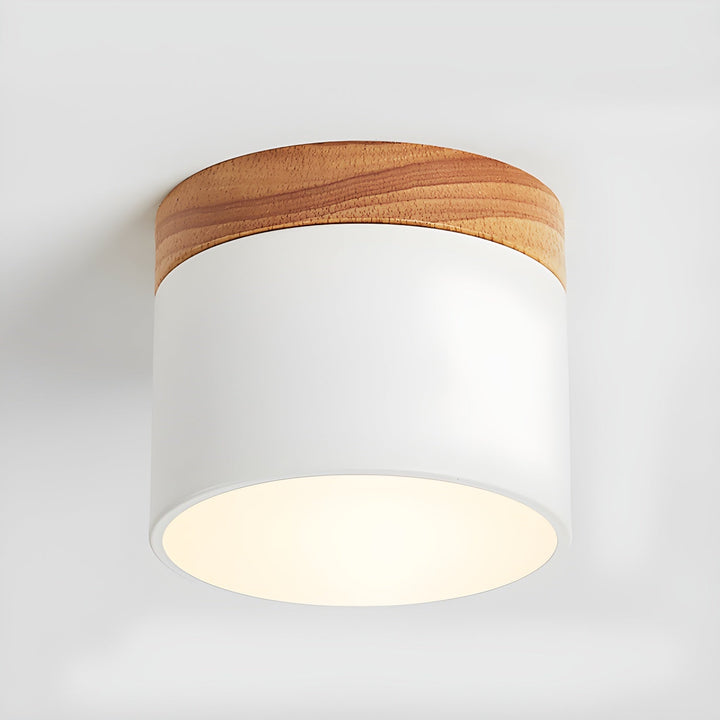 Caveleth Downlight de Surface en Bois Minimaliste Moderne - Neutralighting