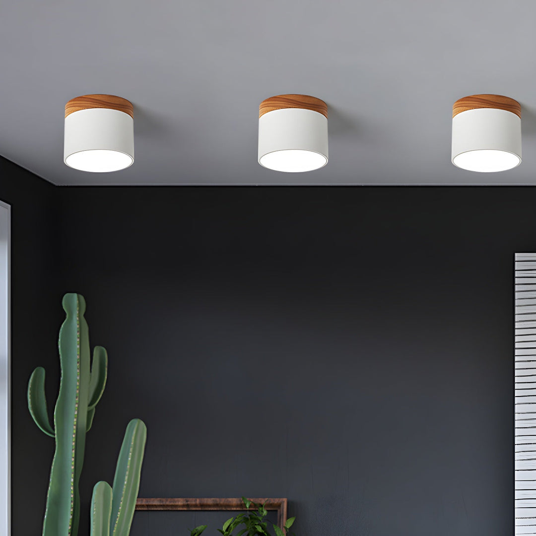 Caveleth Downlight de Surface en Bois Minimaliste Moderne - Neutralighting