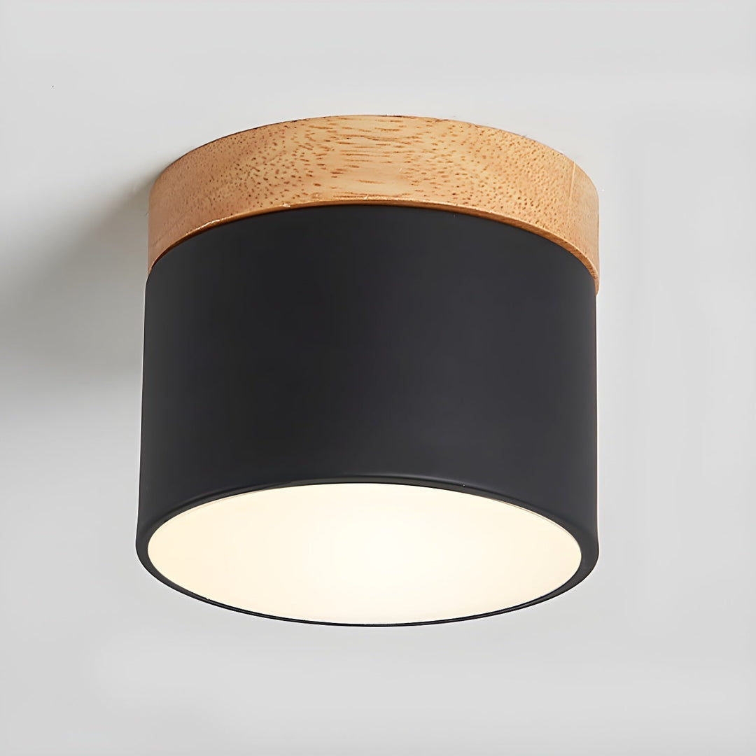 Caveleth Downlight de Surface en Bois Minimaliste Moderne - Neutralighting