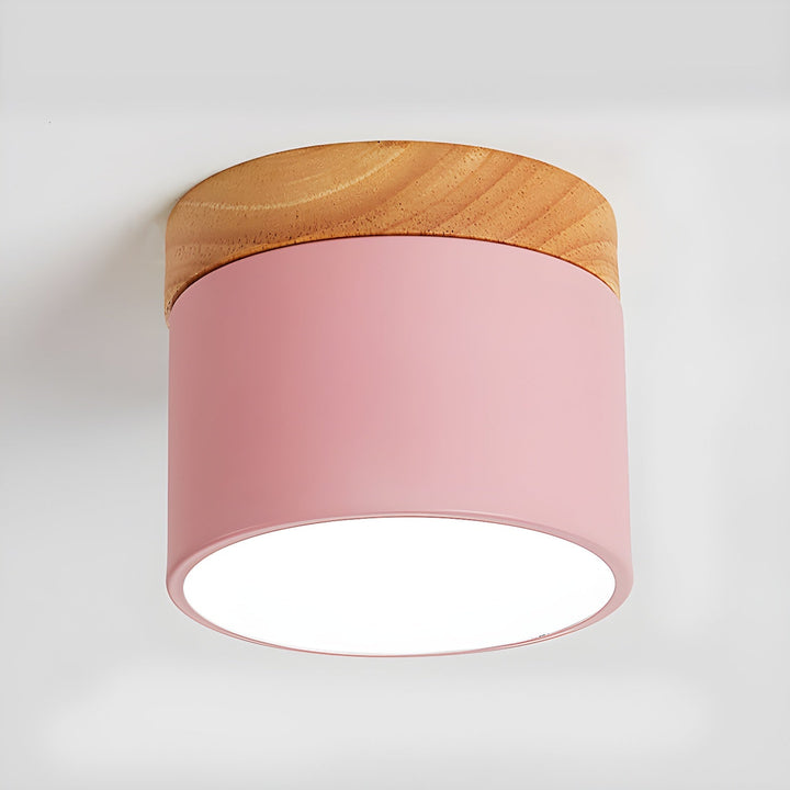 Caveleth Downlight de Surface en Bois Minimaliste Moderne - Neutralighting
