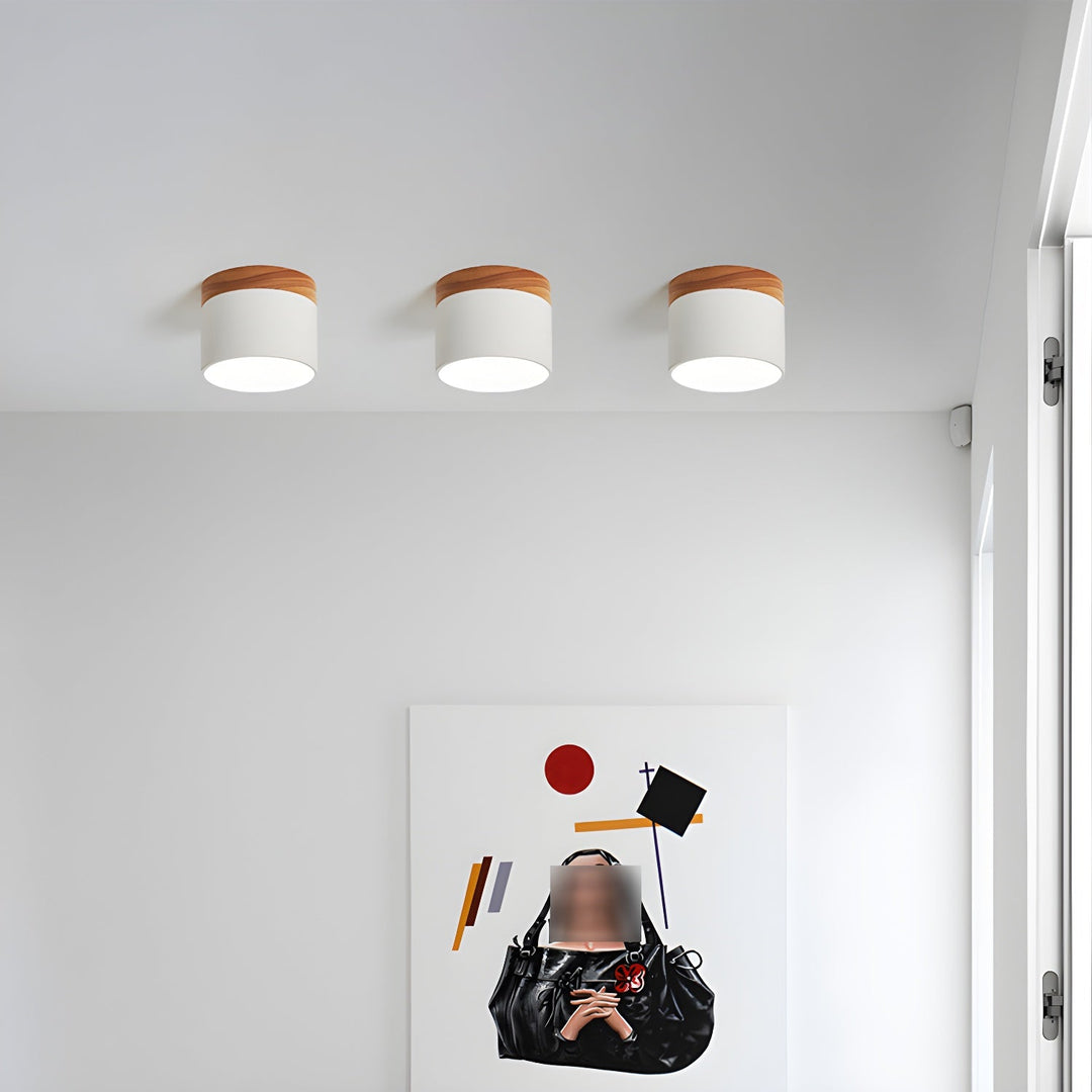 Caveleth Downlight de Surface en Bois Minimaliste Moderne - Neutralighting