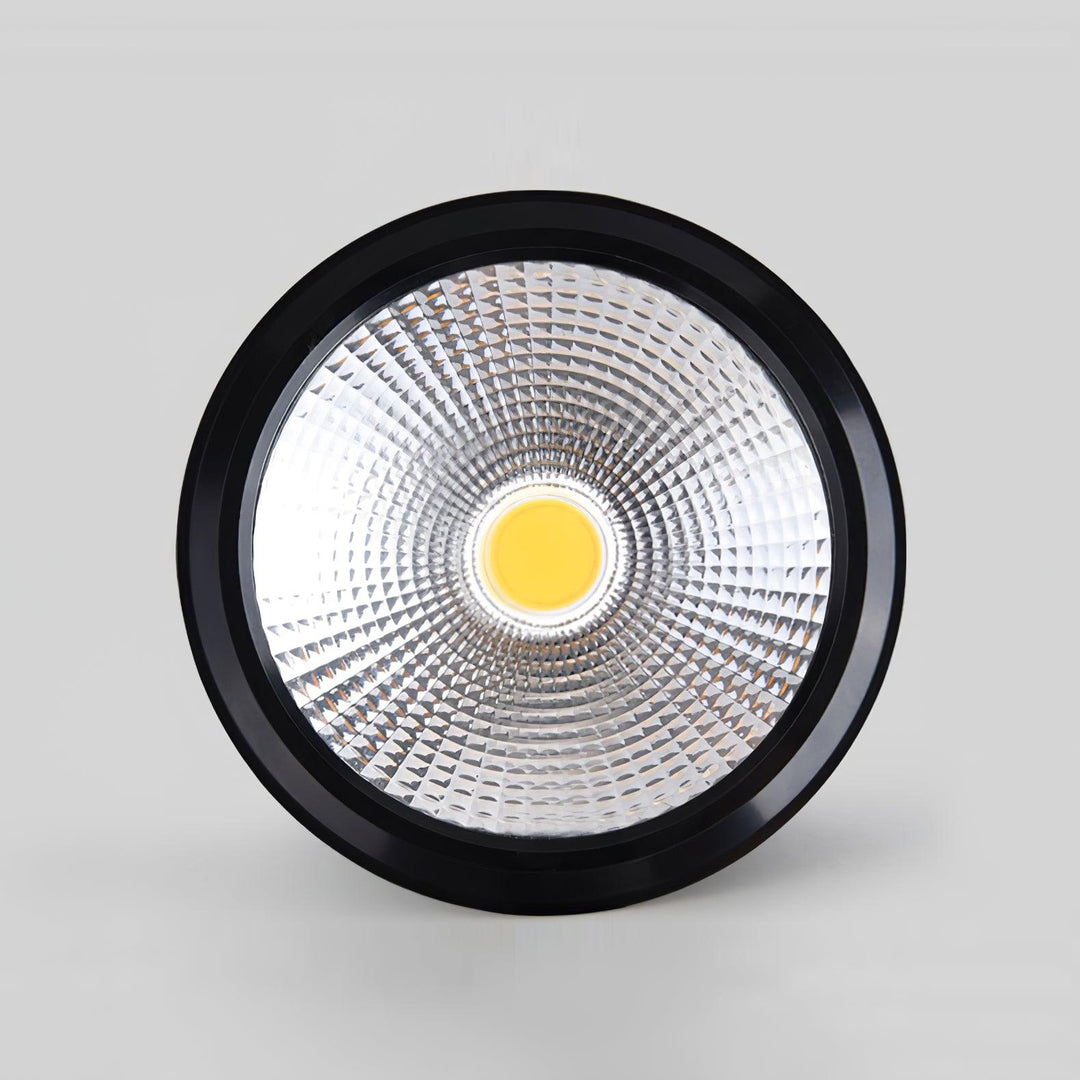 Nero Lampe Plafonnier Classique en Acier - Neutralighting