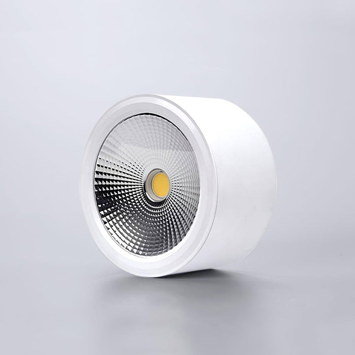 Nero Lampe Plafonnier Classique en Acier - Neutralighting