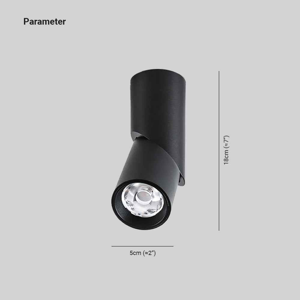 Plafonnier Arisha Métal LED V13