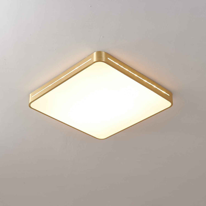 Eurcarara Acrylique 30cm Blanc LED