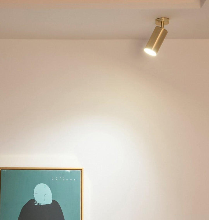 Grover Applique Murale Projecteur Laiton Orientable - Neutralighting