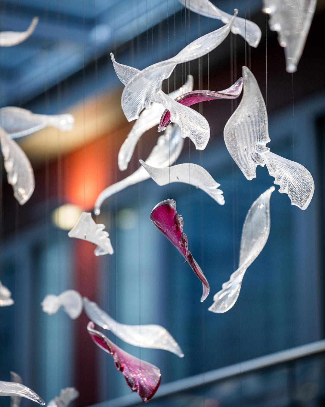 Zathaara Verre Plume Forme Lustre - Neutralighting