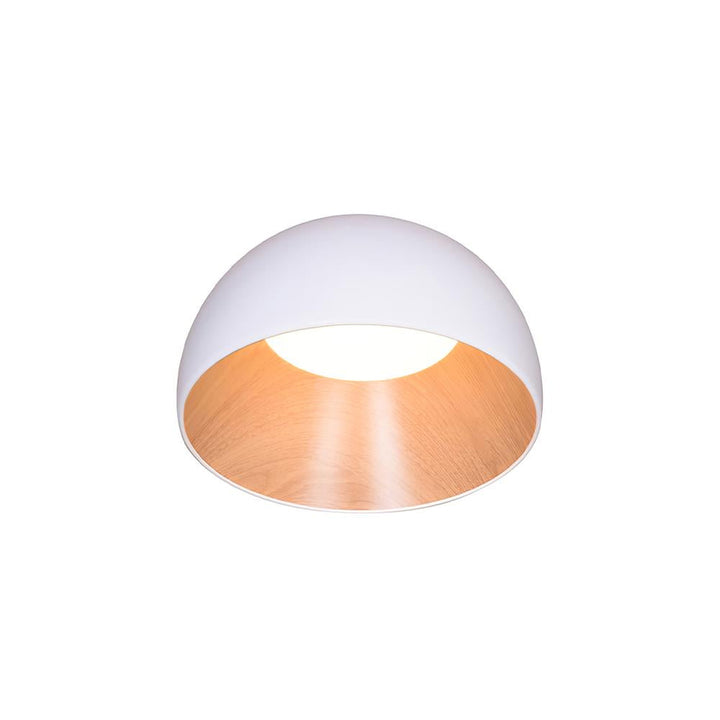 Runa Plafonnier Métal Acrylique Moderne Minimaliste - Neutralighting