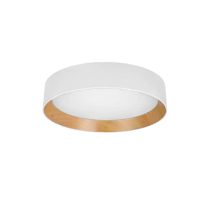Caraeara Plafonnier Rond Moderne Minimaliste - Neutralighting