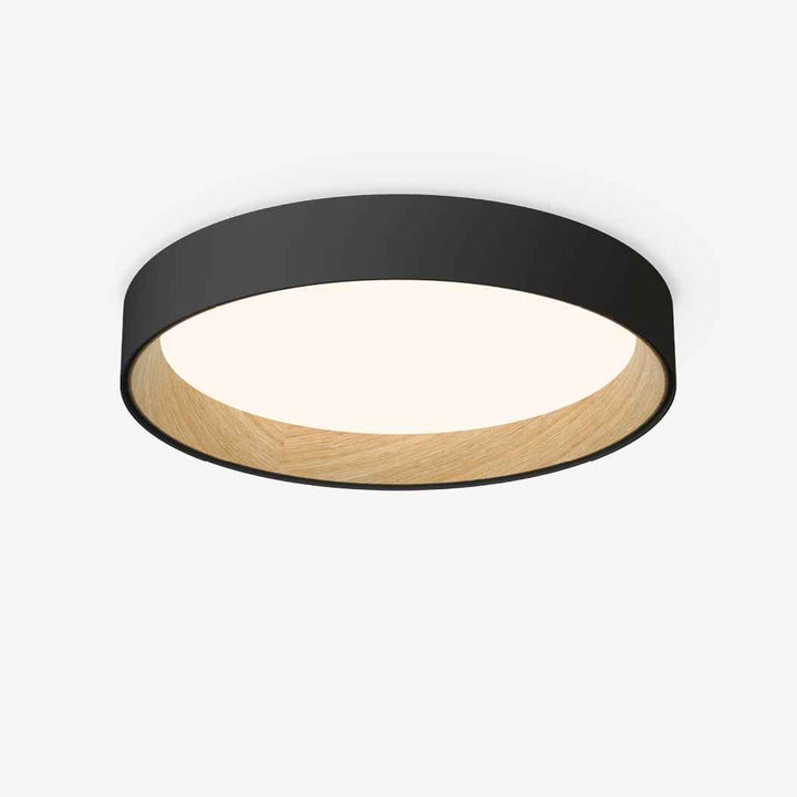 Lampe Caraeara en Acrylique – Design Contemporain