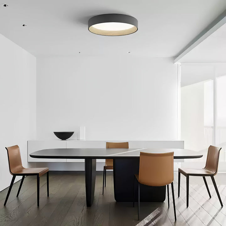 Caraeara Plafonnier Rond Moderne Minimaliste - Neutralighting