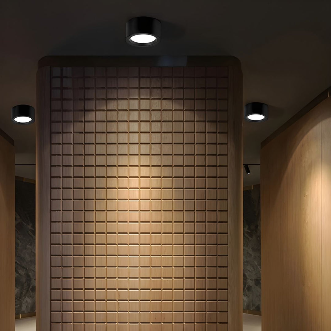 Usorel Lampe Plafonnier Surface Moderne Minimaliste - Neutralighting
