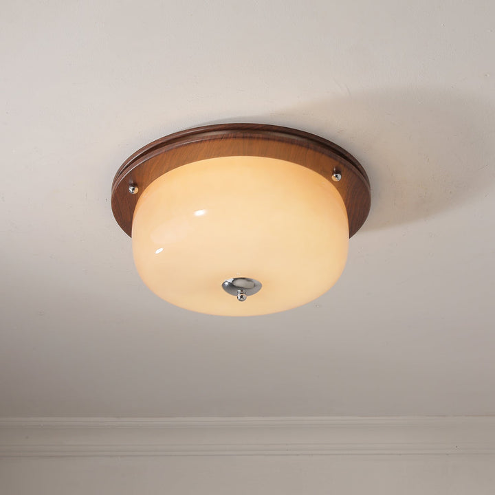 Vetheel Plafonnier Art Nordique Haut de Gamme en Verre Dôme - Neutralighting