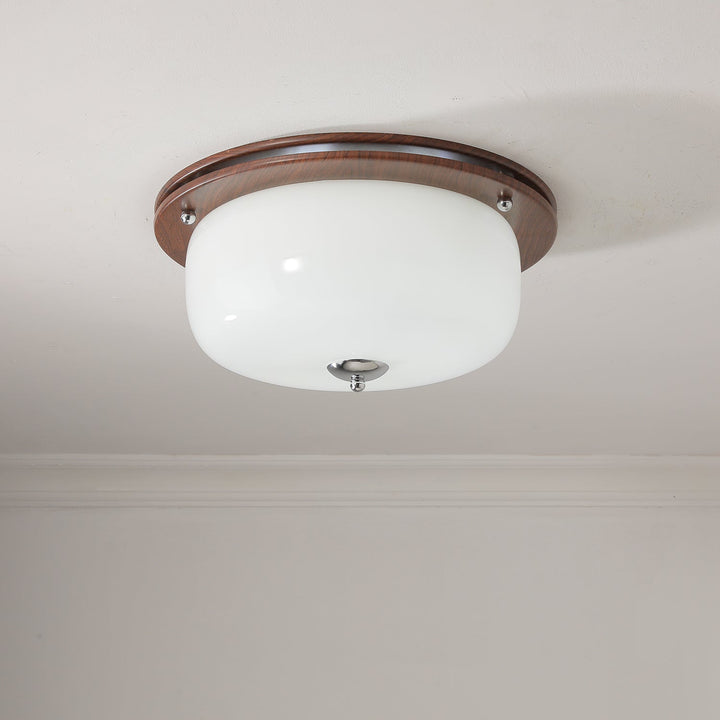 Vetheel Plafonnier Art Nordique Haut de Gamme en Verre Dôme - Neutralighting