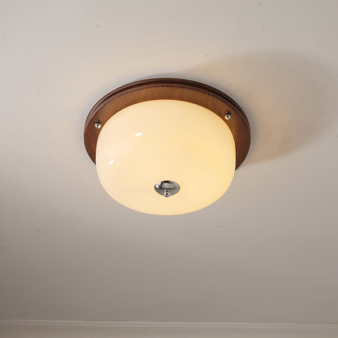 Vetheel Plafonnier Art Nordique Haut de Gamme en Verre Dôme - Neutralighting