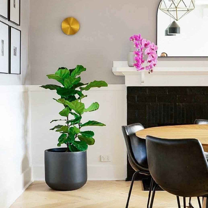 Tivral Métal Noir LED