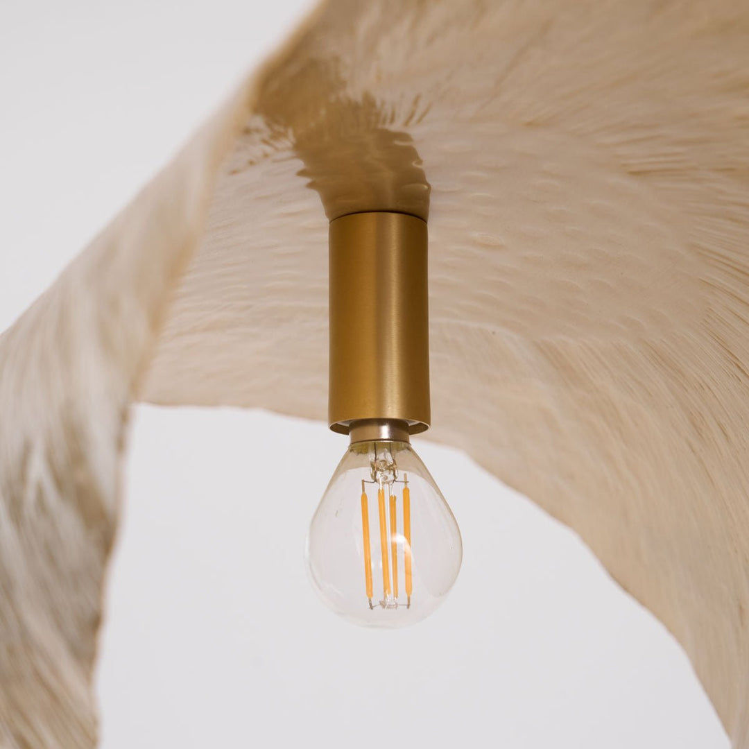 Solere Suspension Minimaliste - Neutralighting