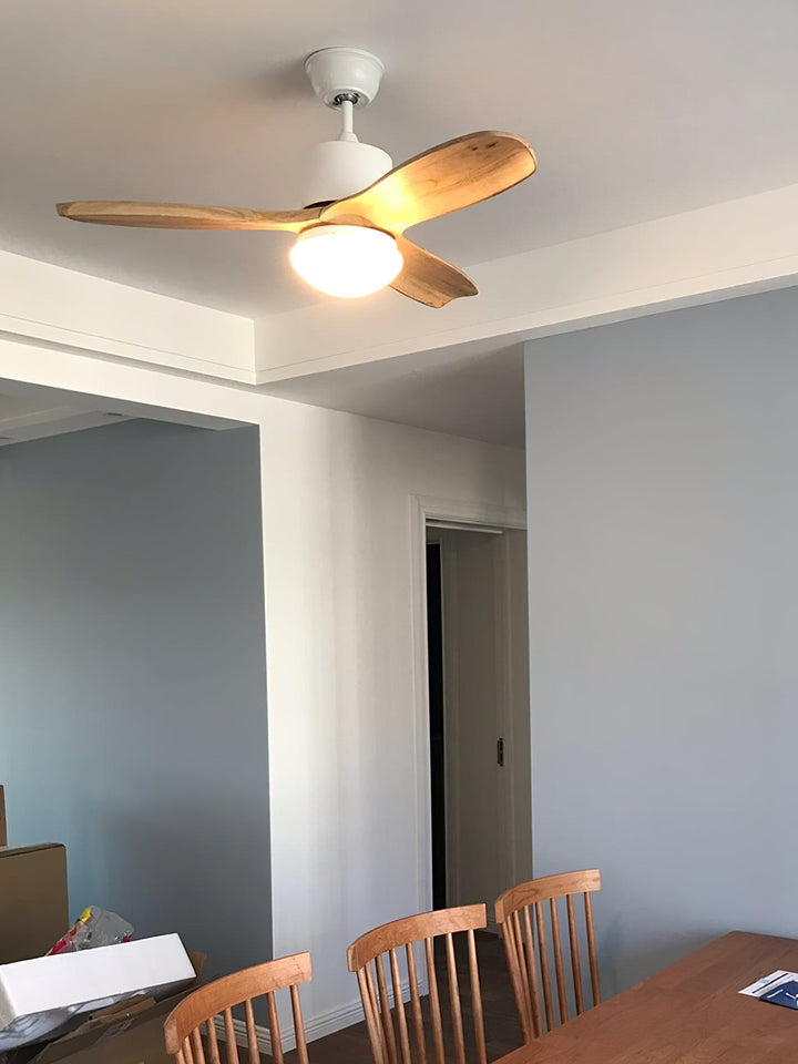Utalis Plafonnier Ventilateur Naturel Élégant - Neutralighting