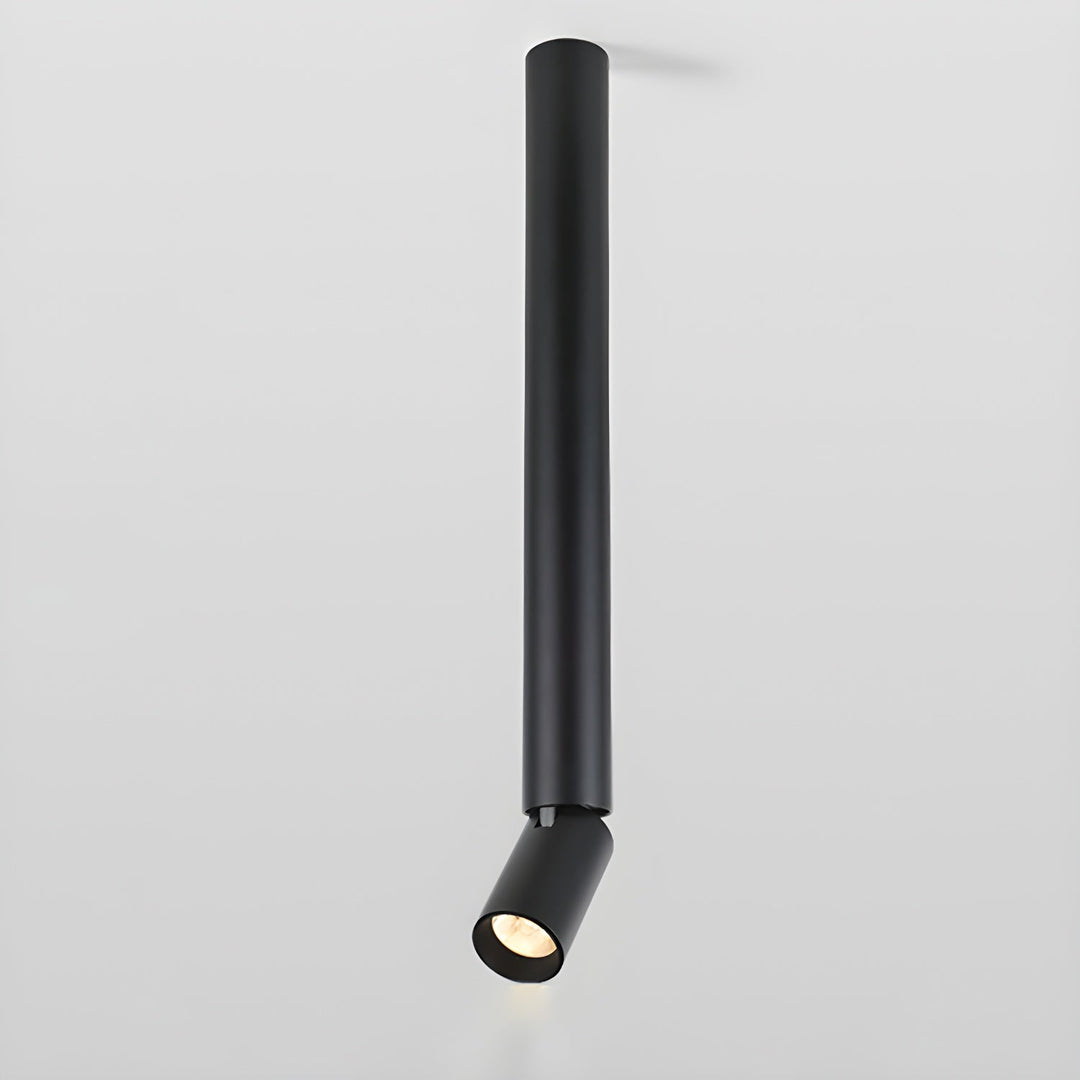 Elvynira Plafonnier à éclairage de surface réglable - Neutralighting
