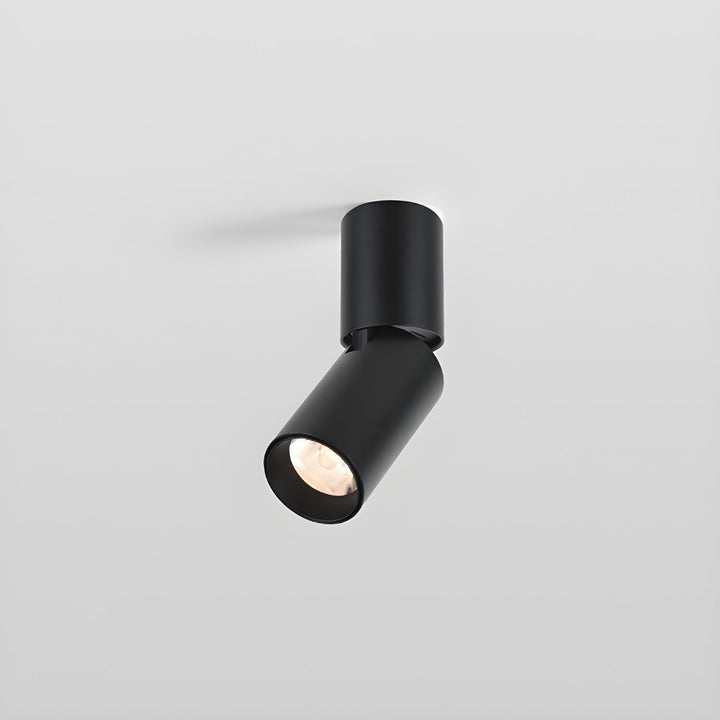Elvynira Plafonnier à éclairage de surface réglable - Neutralighting