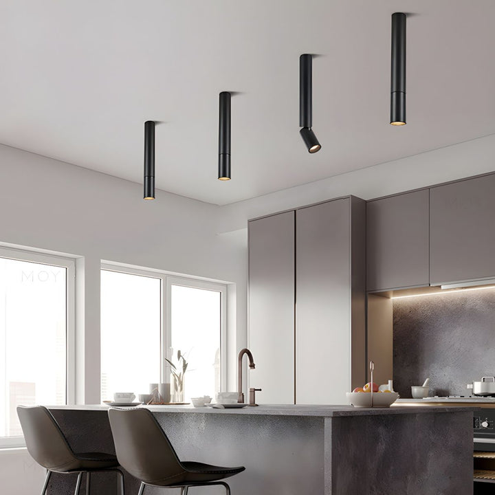 Elvynira Plafonnier à éclairage de surface réglable - Neutralighting