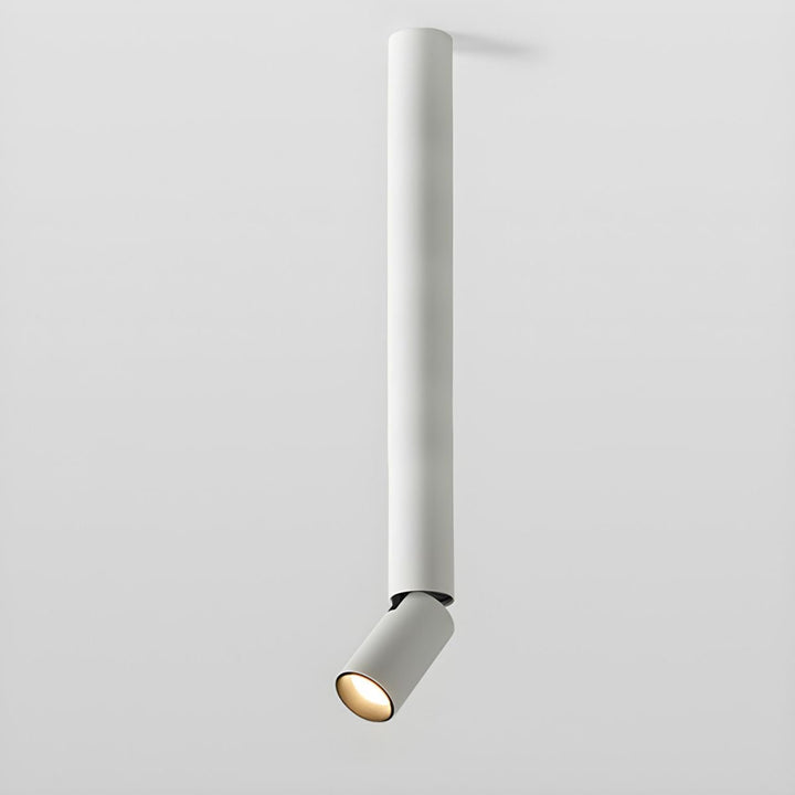 Elvynira Plafonnier à éclairage de surface réglable - Neutralighting