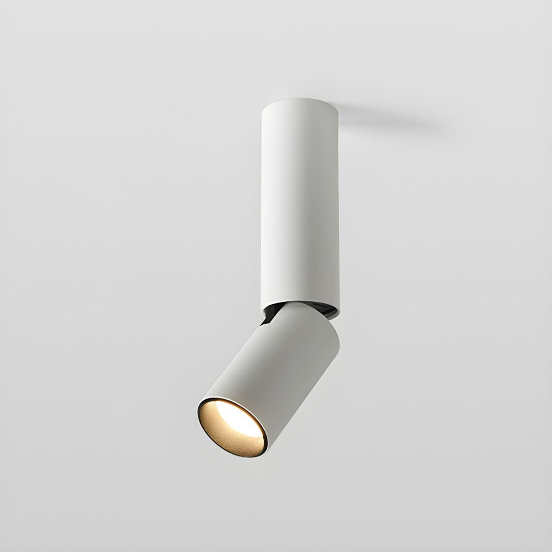 Elvynira Plafonnier à éclairage de surface réglable - Neutralighting