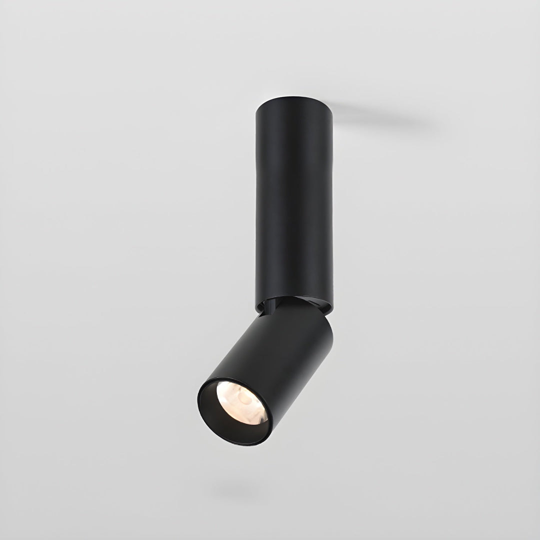 Elvynira Plafonnier à éclairage de surface réglable - Neutralighting